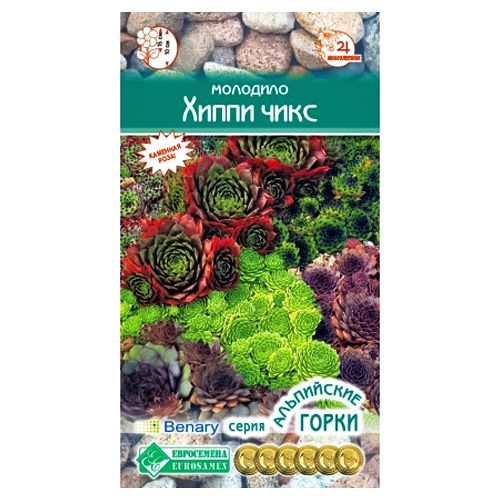 ����  �������� ����� ����, ����� ������� ����������, ������ �� 90 ���