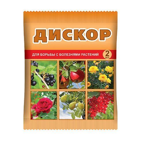 ����  ������, �������� �� �������� �������� 2 ��, ������ �� 56 ���