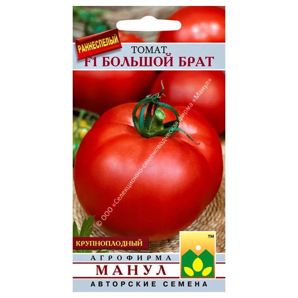 ����  ����� ������� ���� F1 �����, ������ �� 14 ���