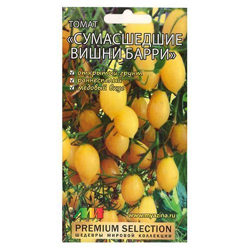 ����  ����� ����������� ����� ����� ����������� ������ �.�., ������ �� 91 ���