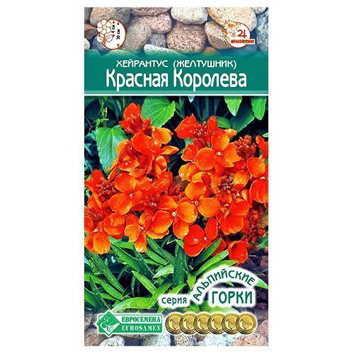 ����  ��������� (���������) ������� �������� ����������, ������ �� 35 ���