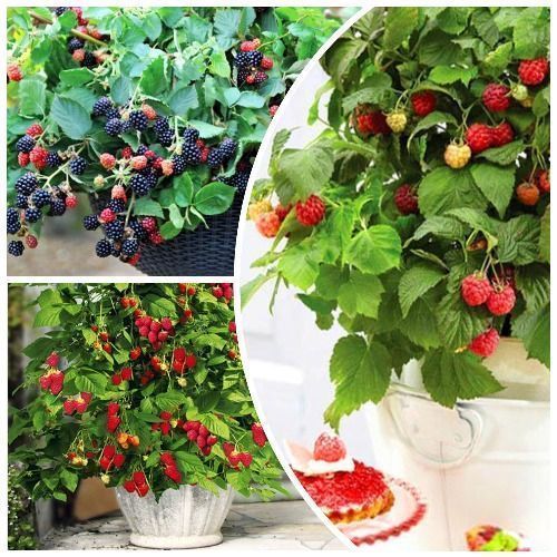 ����  �����������! �������� 