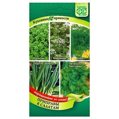 ����  �������� �������� � ������ � �������, ����� ������ ������, ������ �� 36 ���