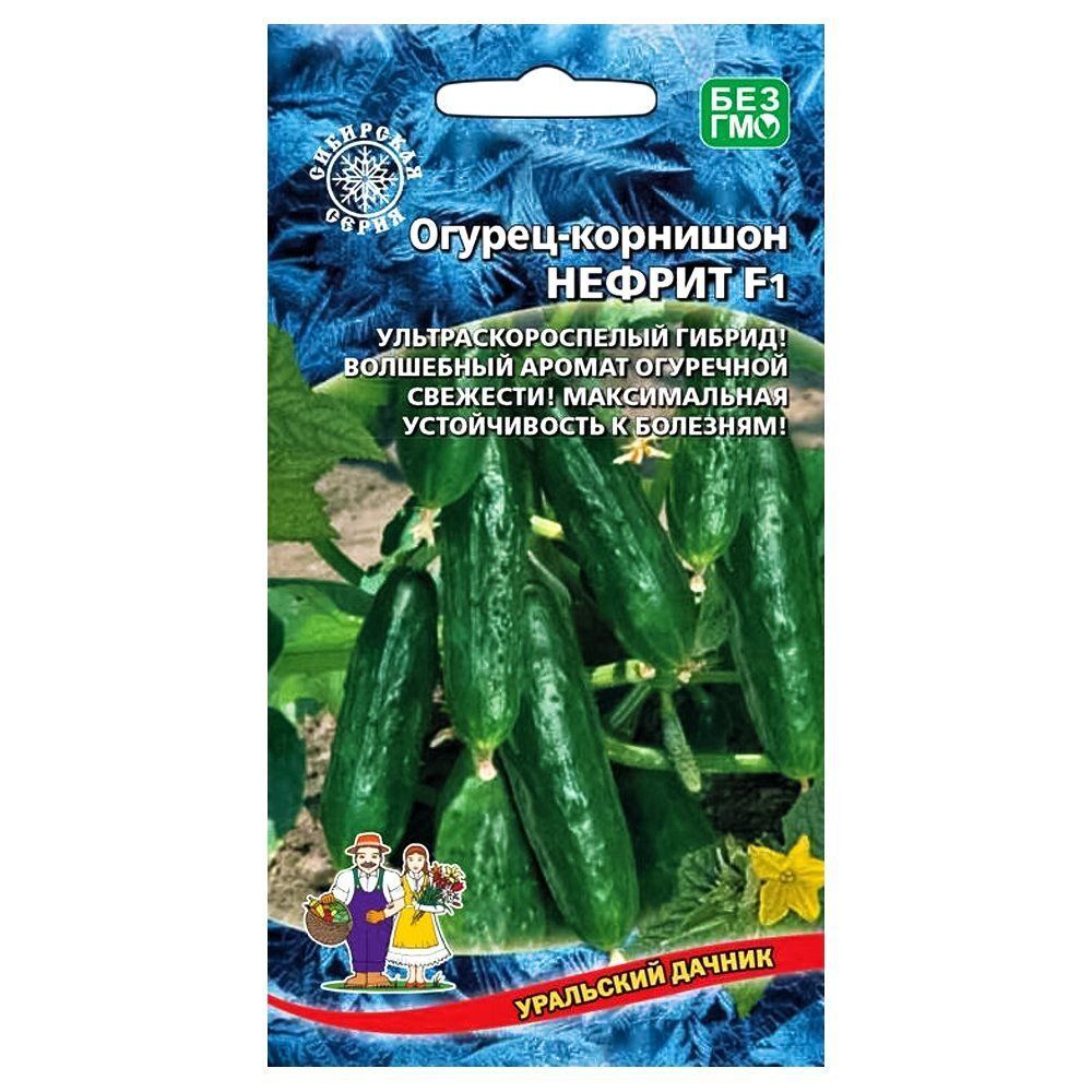 ����  ������ ������ F1 ��������� ������, ������ �� 28 ���