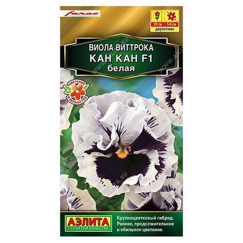 ����  ����� ��������������� ��� ��� ����� F1 ������, ������ �� 48 ���