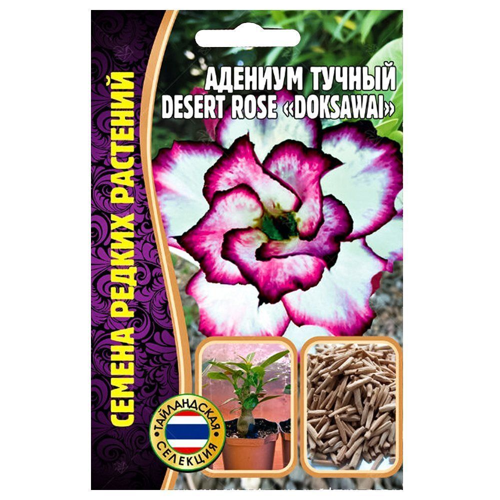    Desert Rose Doksawai      -     , -, 