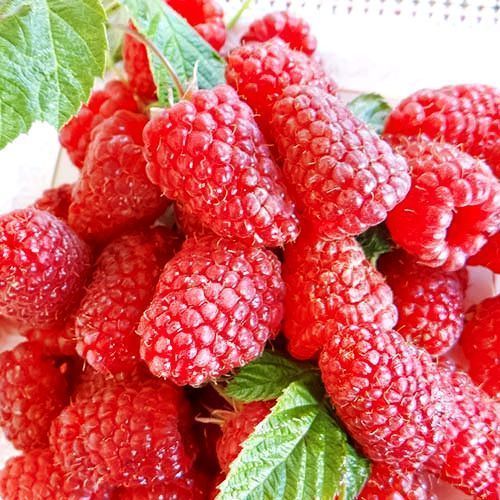 ����  ������ ������������� ������� ��������, ������ �� 202 ���