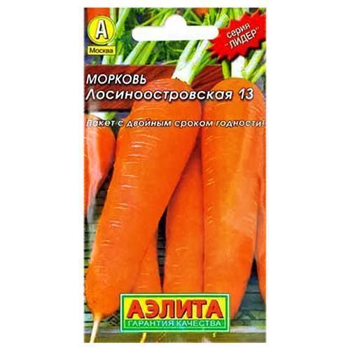 ����  ������� ���������������� 13 ������, ������ �� 24 ���