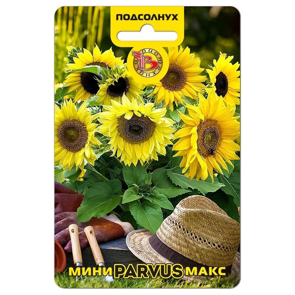 ����  ��������� ���������� ����-���� Parvus ����������, ������ �� 126 ���