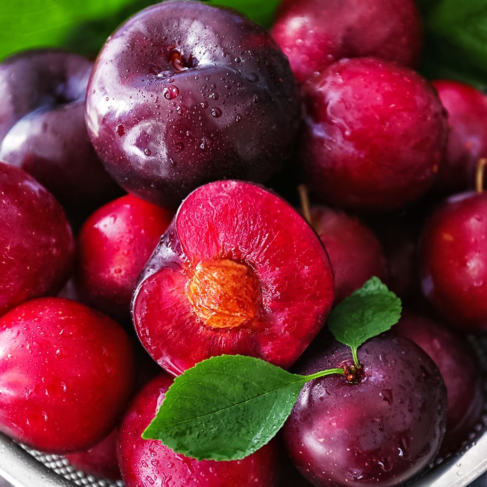 ����  �������� (������ �����, ���������, ��������) ����������, ������ �� 483 ���