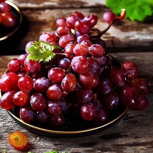 ����  �������� ����������, ������ �� 125 ���