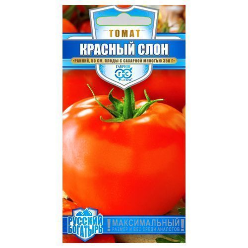 ����  ����� ������� ���� ������, ������ �� 10 ���