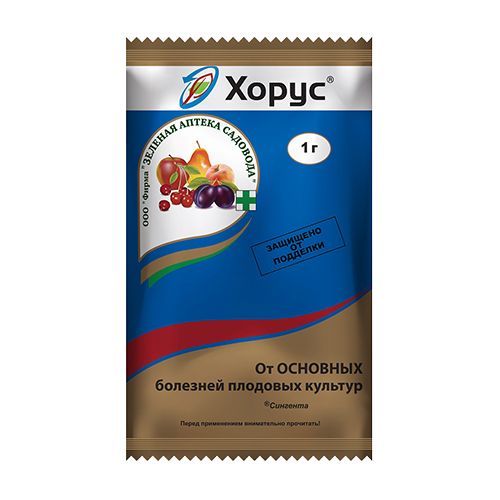 ����  �����, �������� �� �������� �������� 1 �, ������ �� 49 ���