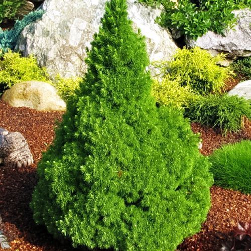 ����  ��� ��������� ������ ��������, ������ �� 965 ���