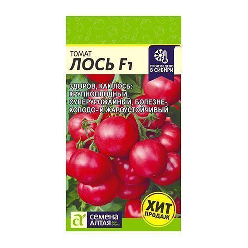 ����  ����� ���� F1 ������ �����, ������ �� 196 ���