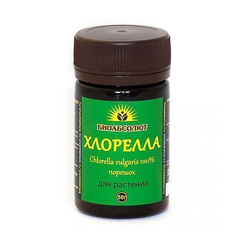 ����  ���������� ��������, ������� 50 ��, ������ �� 385 ���