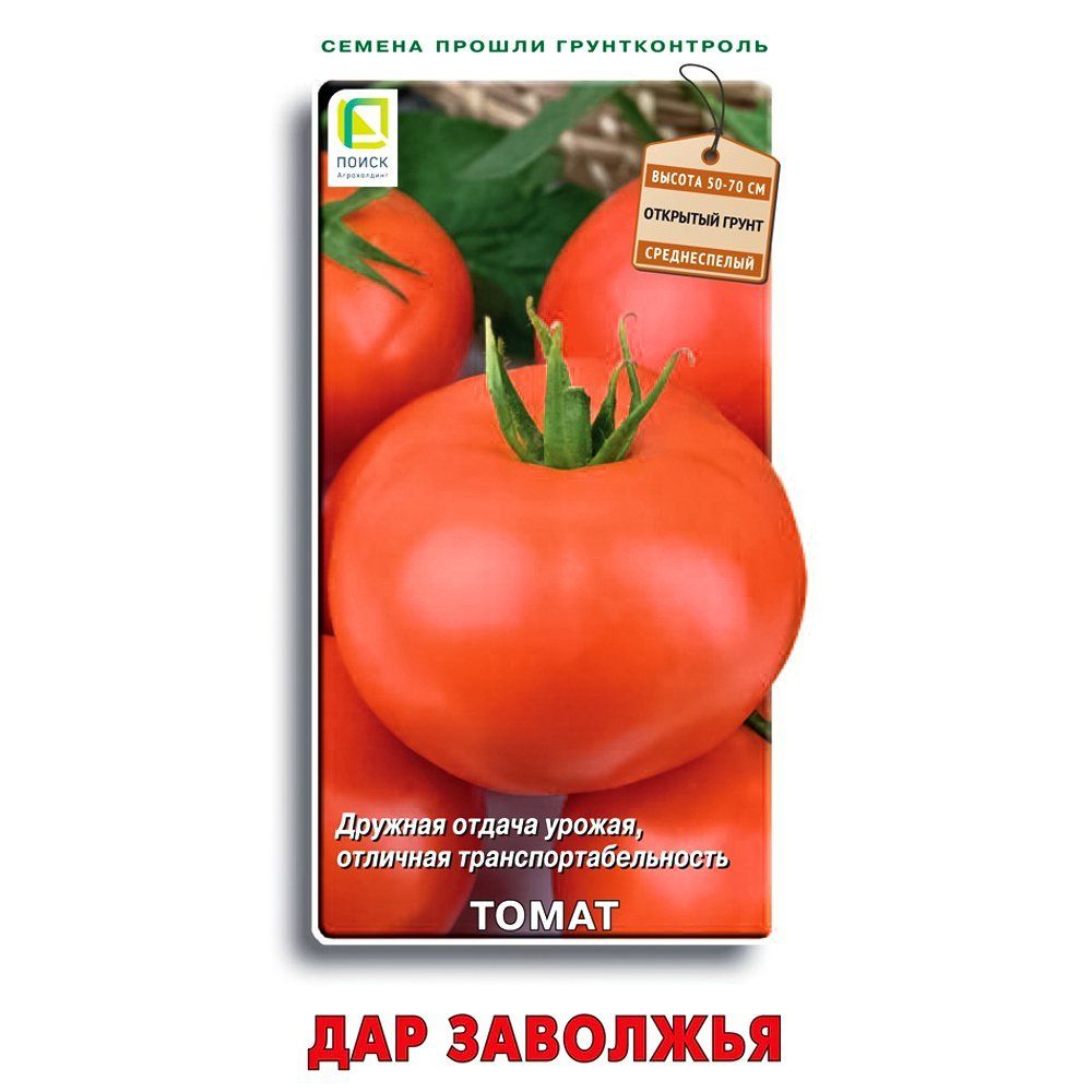 ����  ����� ��� �������� �����, ������ �� 21 ���