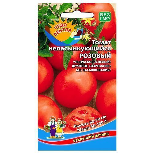 ����  ����� ��������������� ������� ��������� ������, ������ �� 40 ���