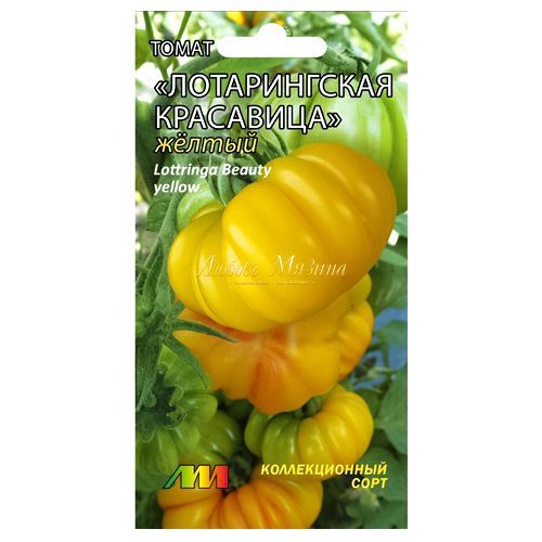 ����  ����� ������������ ��������� ������ ����������� ������ �.�., ������ �� 22 ���