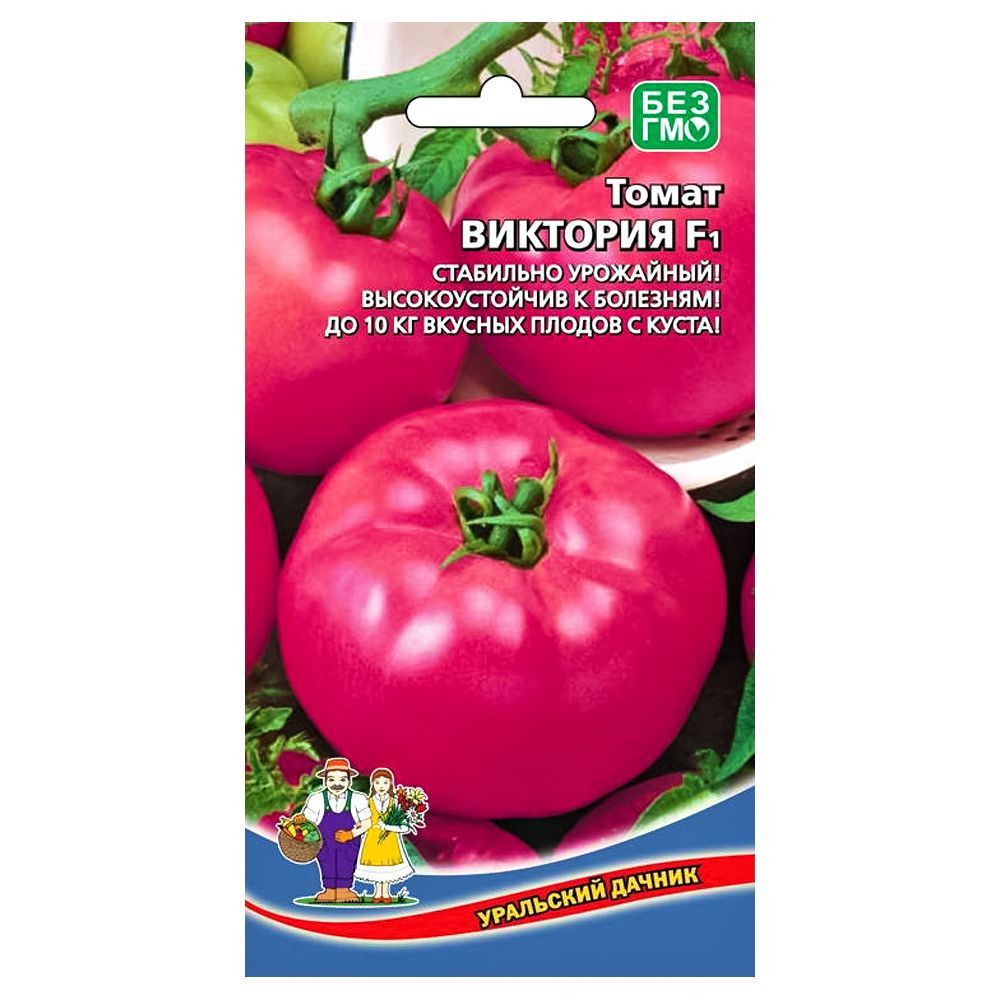 ����  ����� �������� F1 ��������� ������, ������ �� 8 ���