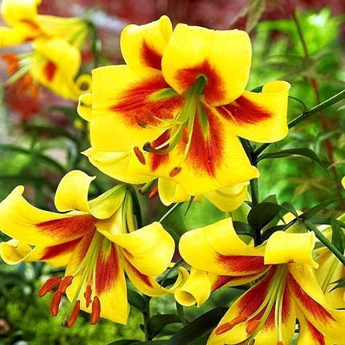 ����  ����� ��-������ ������ �������, ������ �� 920 ���