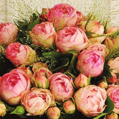 ����  ���� �����-��������� ����� ������, ������ �� 423 ���