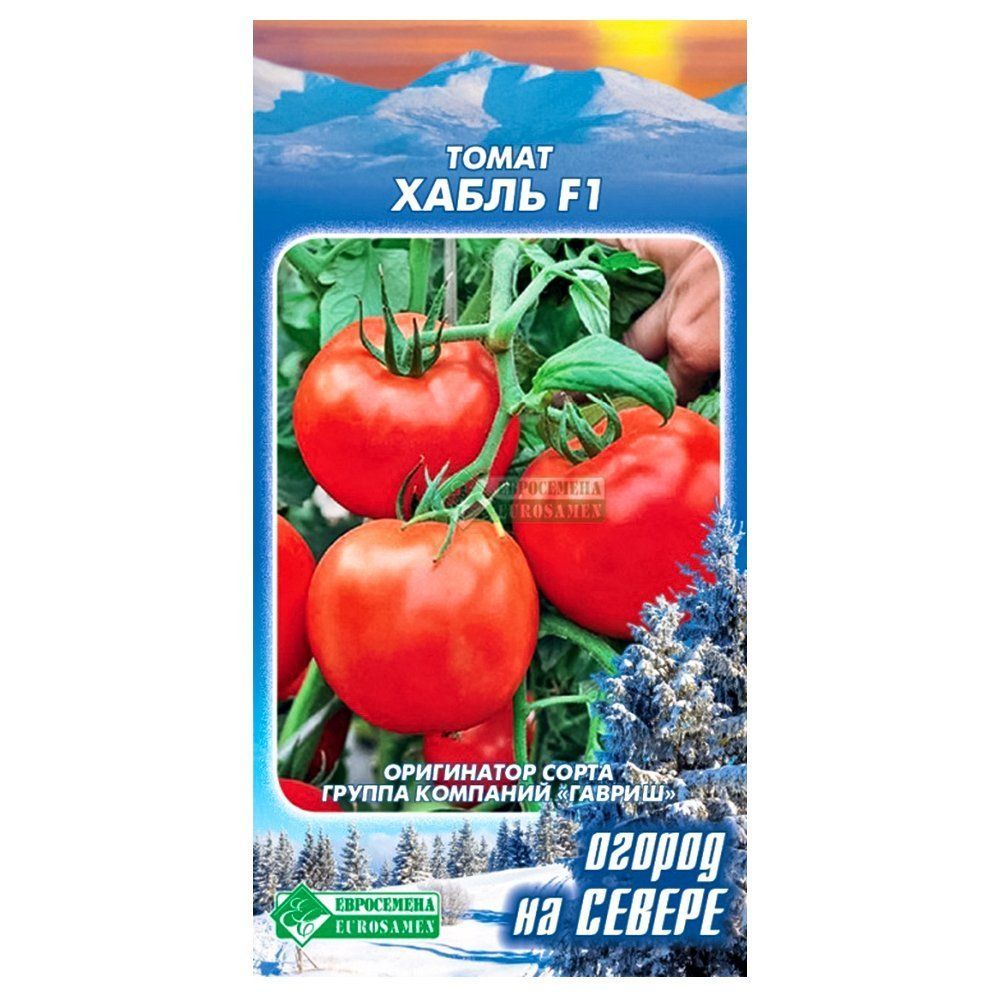 ����  ����� ����� F1 ����������, ������ �� 16 ���