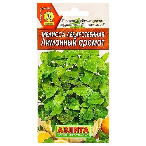 ����  ������� ������������� �������� ������ ������, ������ �� 24 ���