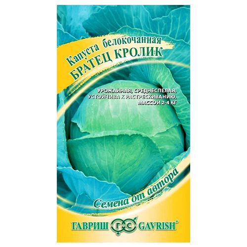 ����  ������� ������������ ������ ������ ������, ������ �� 24 ���