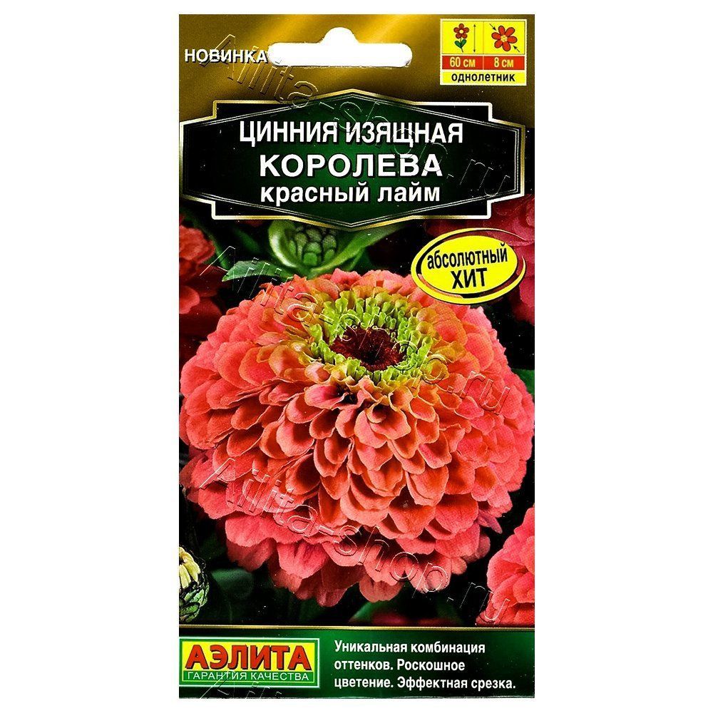 ����  ������ �������� ������� ���� ������, ������ �� 72 ���