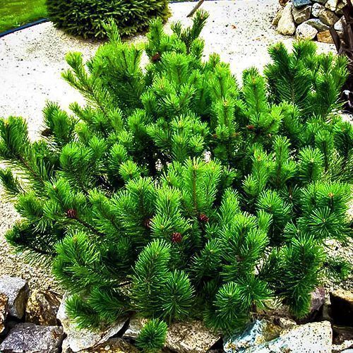 ����  ����� ������ �����, ������ �� 910 ���