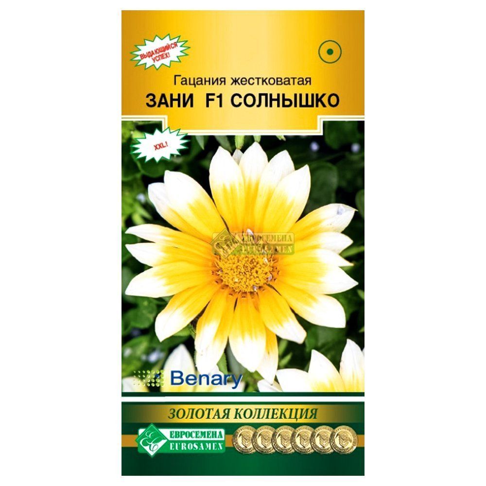 ����  ������� ���� �������� F1 ����������, ������ �� 49 ���