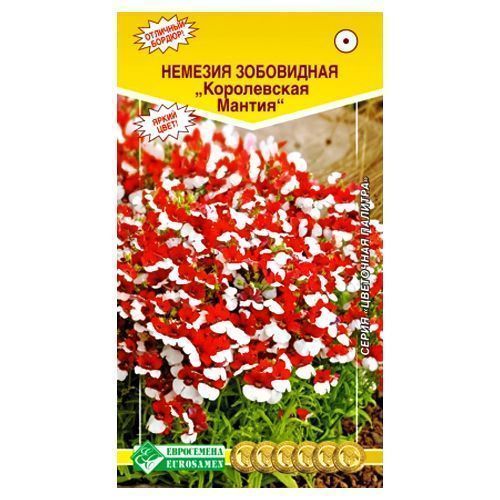 ����  ������� ����������� ������ ����������, ������ �� 35 ���