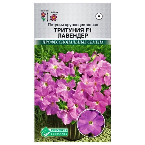 ����  ������� ��������������� �������� �������� F1 ����������, ������ �� 49 ���