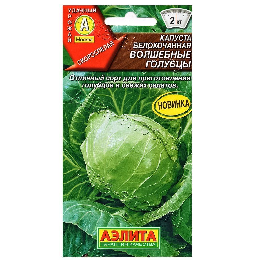 ����  ������� ������������ ��������� ������� ������, ������ �� 24 ���