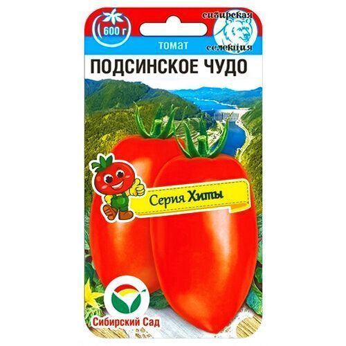 ����  ����� ���������� ���� ��������� ���, ������ �� 42 ���