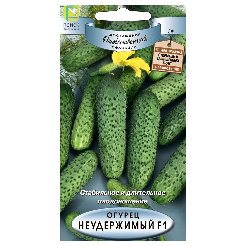 ����  ������ ����������� F1 �����, ������ �� 10 ���