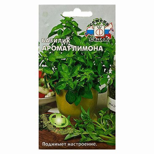 ����  ������� ������� ������ ������ �����, ������ �� 30 ���