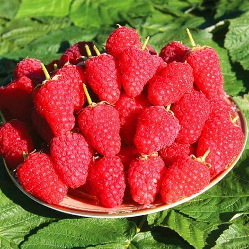 ����  ������ ������������� ������, ������ �� 202 ���