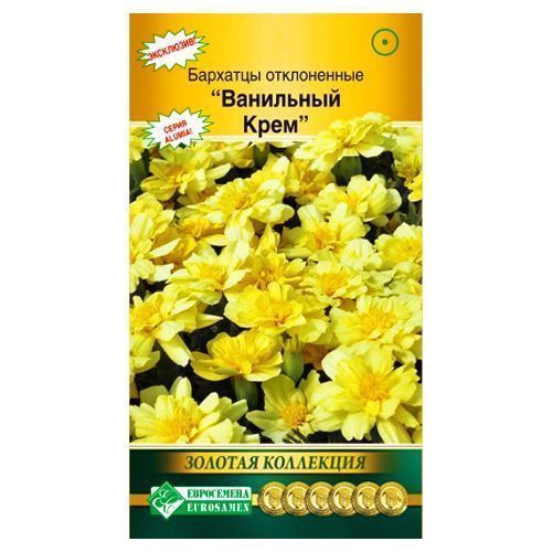 ����  �������� ����������� ��������� ���� ����������, ������ �� 42 ���