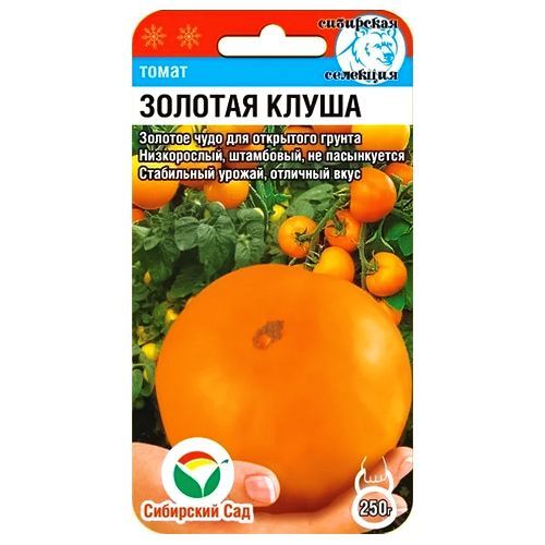 ����  ����� ������� ����� ��������� ���, ������ �� 35 ���