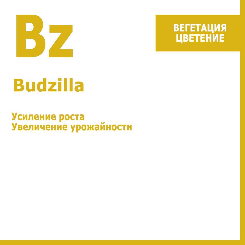 ����  Budzilla, ���������� ���������� ����������� 250 ��, ������ �� 705 ���