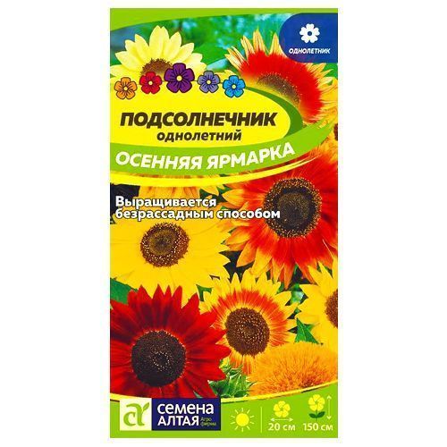 ����  ������������ ������� �������, ����� ������� ������ �����, ������ �� 28 ���