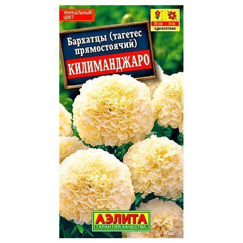 ����  �������� ������������ ������������ ������, ������ �� 50 ���