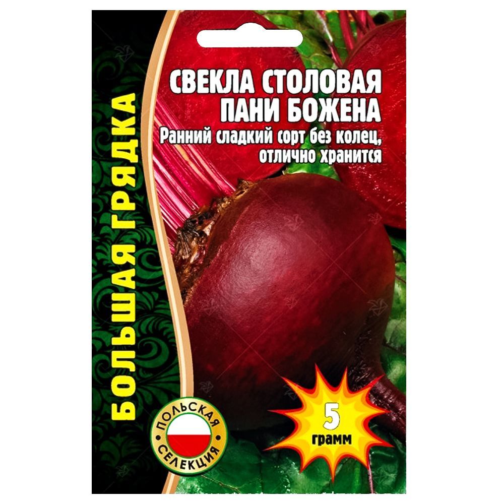 ����  ������ ���� ������ ������ ������, ������ �� 56 ���