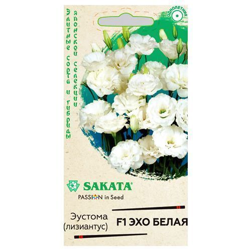 ����  ������� ��� ����� F1 ������, ������ �� 42 ���