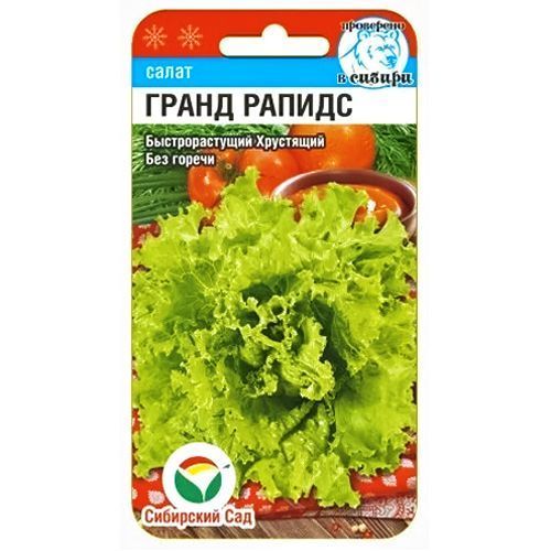 ����  ����� ����� ������ ��������� ���, ������ �� 21 ���