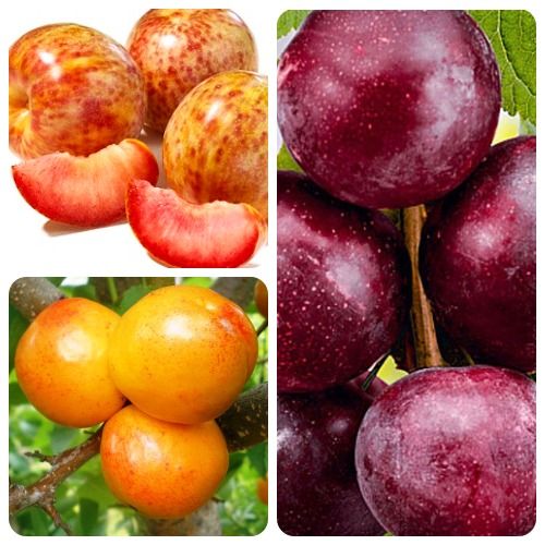 ����  �����������! �������� 