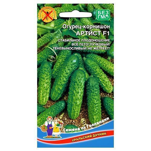 ����  ������ �������� ������ F1 ��������� ������, ������ �� 84 ���