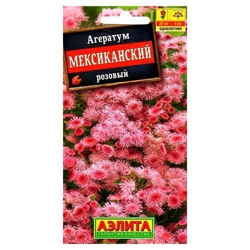 ����  �������� ������������ ������� ������, ������ �� 24 ���